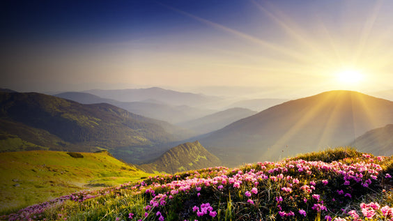 Because of Him. Hope, Peace, and Joy This Easter.