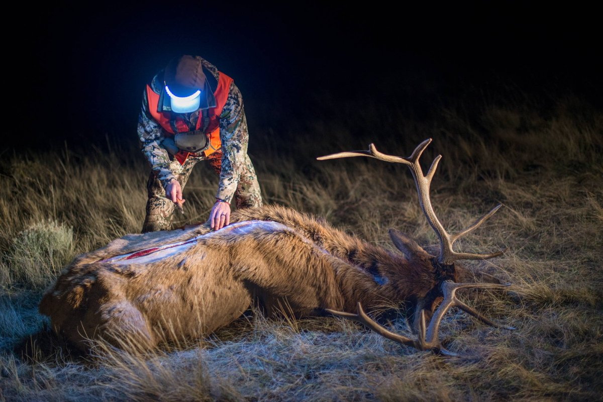 2017 COLORADO ELK HUNT - MTN OPS