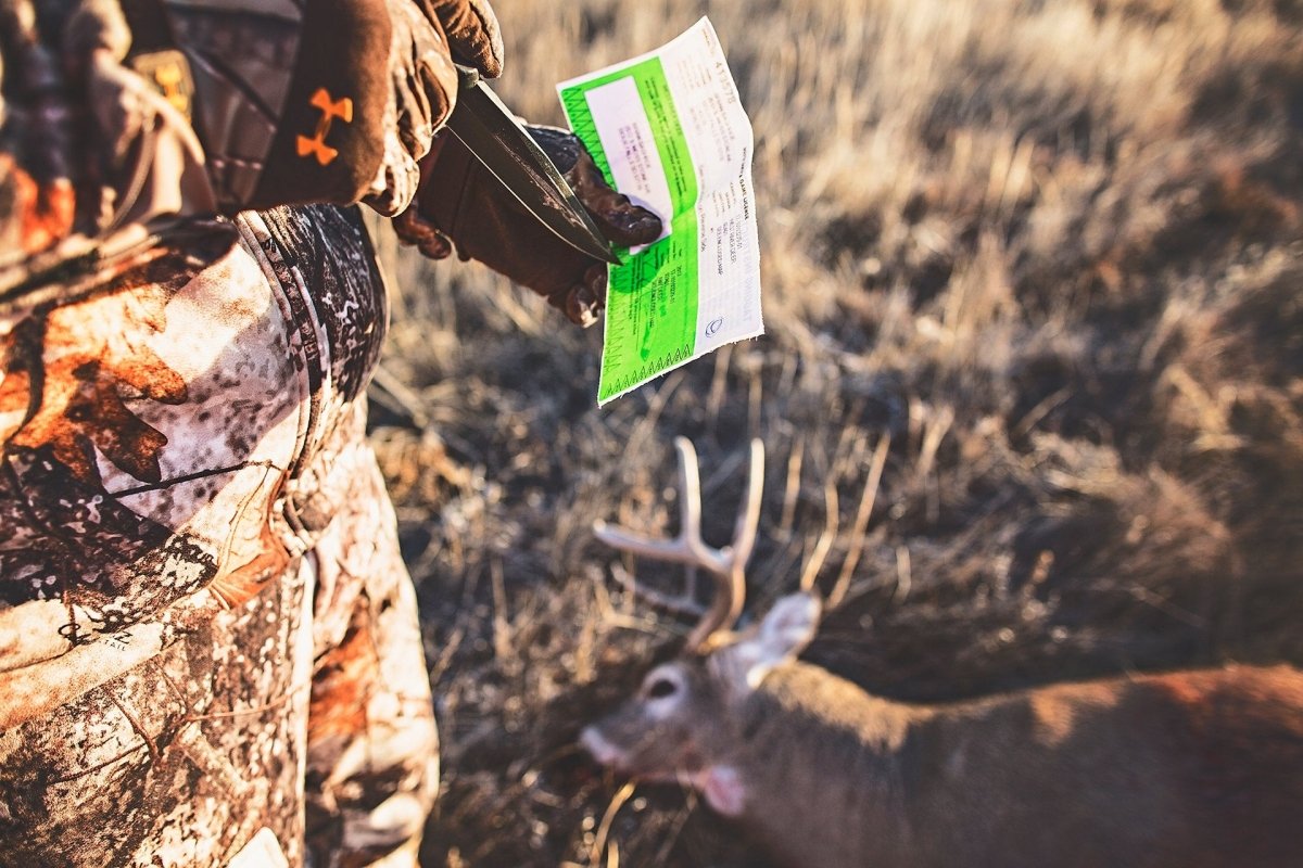 YOU CAN'T EAT THE ANTLERS - MTN OPS