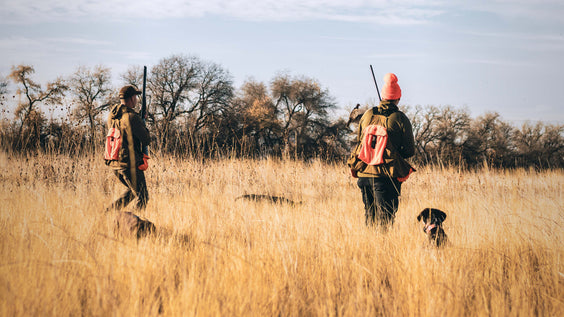 Teamwork in the Field: Building a True Hunting Partnership with Your Dog