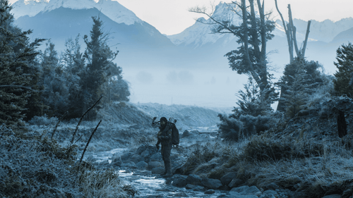 Final Frost Sale