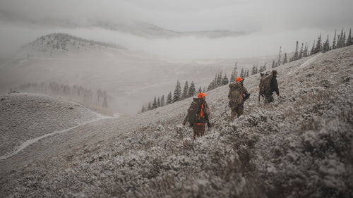 Cold Weather Line-Up